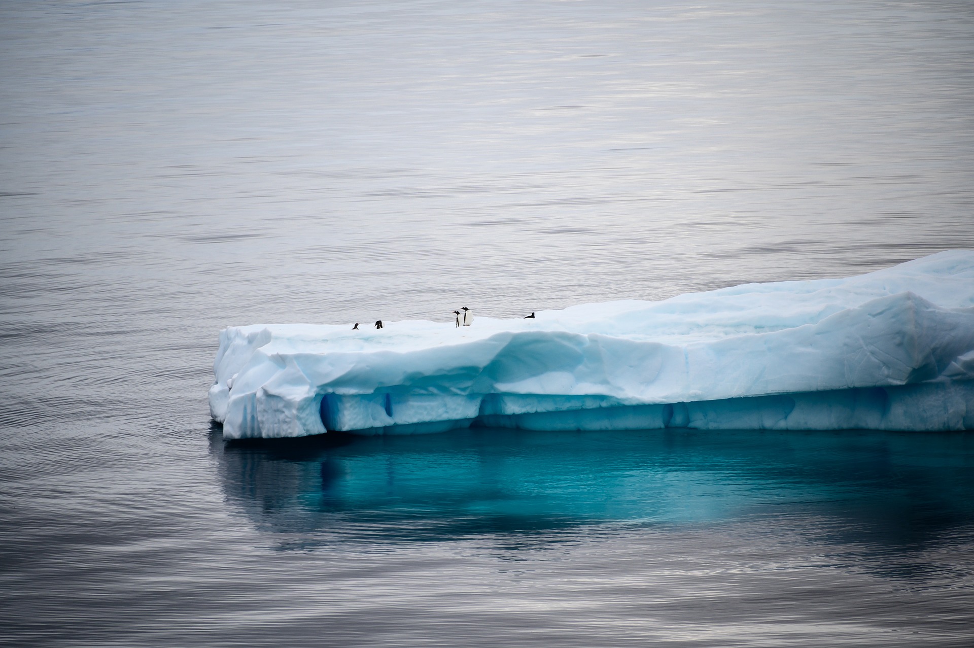 featured_image/2023/01/21/antarctica-g71ab97538_1920.jpg